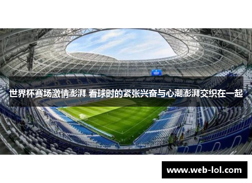 世界杯赛场激情澎湃 看球时的紧张兴奋与心潮澎湃交织在一起