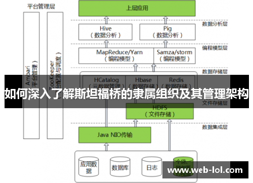 如何深入了解斯坦福桥的隶属组织及其管理架构