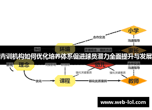 青训机构如何优化培养体系促进球员潜力全面提升与发展