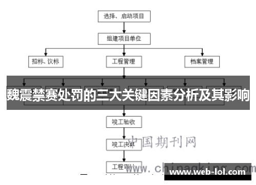 魏震禁赛处罚的三大关键因素分析及其影响